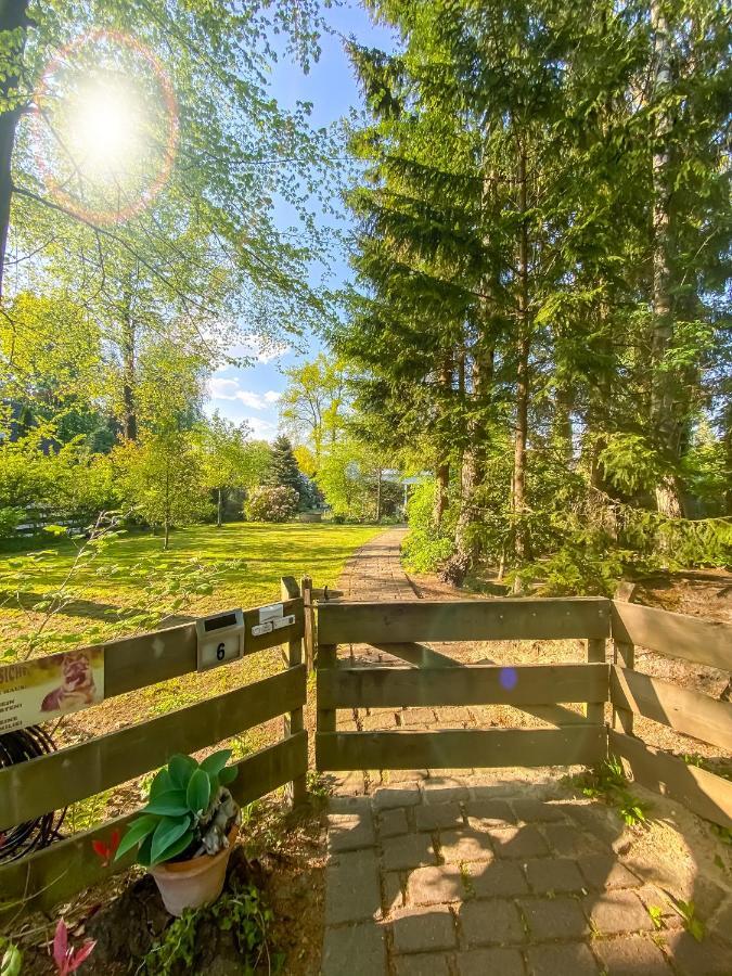Ferienwohnung Im Sachsenwald Dassendorf Экстерьер фото