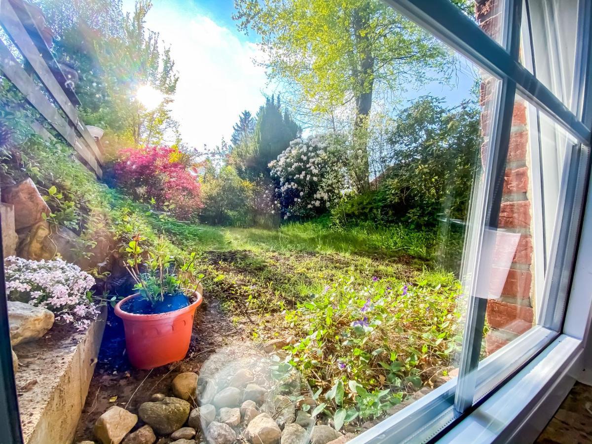 Ferienwohnung Im Sachsenwald Dassendorf Экстерьер фото